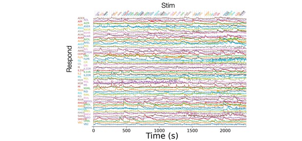 Cell-resolved population neural activity in response to single-neuron optogenetic stimulation in C. elegans.